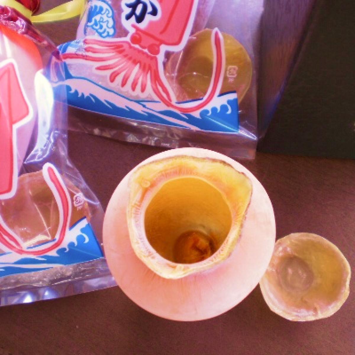一整隻烏賊做成的清酒壺！京都宮津名產鞍岡商店烏賊酒壺& 酒杯