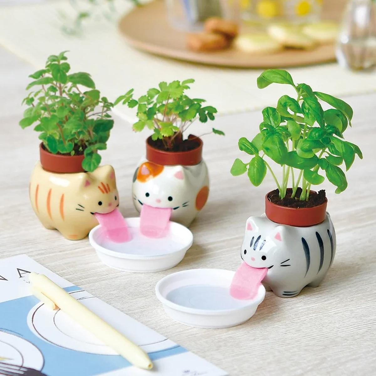 快來搜尋！這裡有各式各樣新鮮好玩的新商品，以及許願成真的好物們！｜日本好物調查局