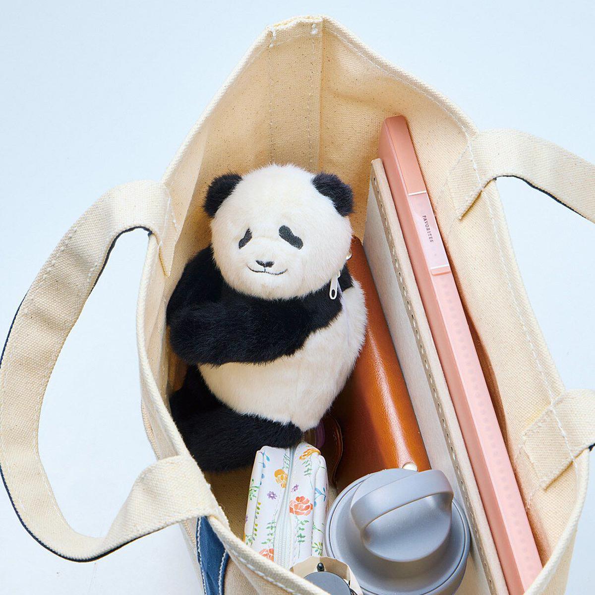 成都大熊猫繁育研究基地- 旅游景点点评- Tripadvisor, image size:1200x1200