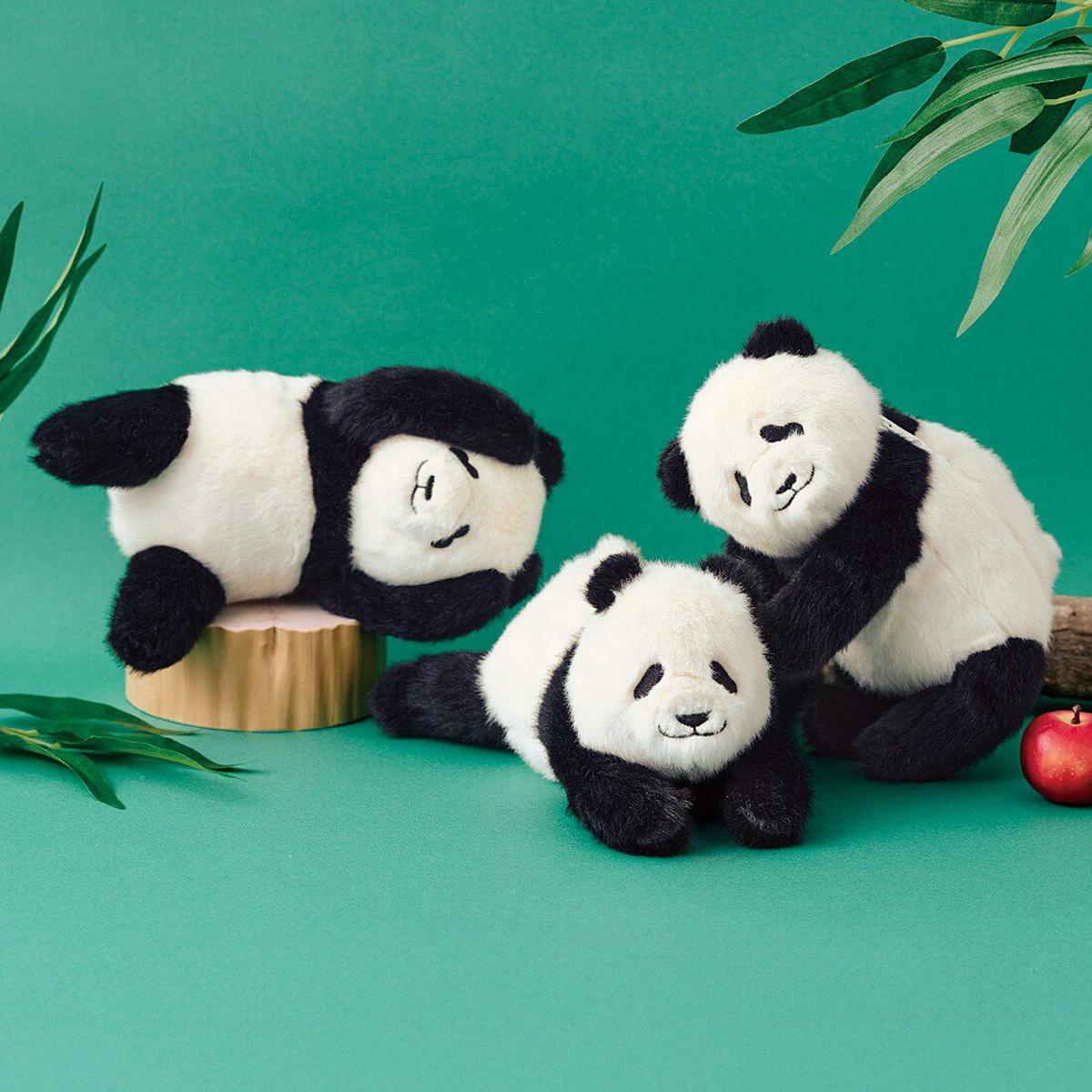 听说你下辈子想做熊猫？-虎嗅网, image size:1200x1200